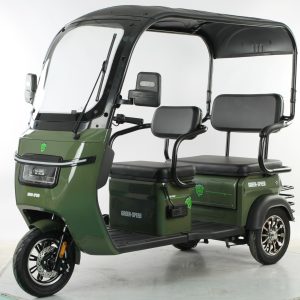 3-Rad E-Rikscha mit viel Platz TUK TUK Autorikscha Rikschas Elektro Samosir TUKTUK TUCK TUCK