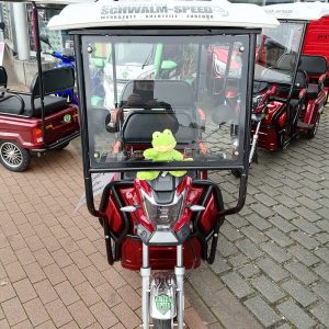 Frontscheibe Scheibe Seitenscheibe Schiebescheibe Heckscheibe Glas Glasscheibe Türscheibe Rikscha Fenster