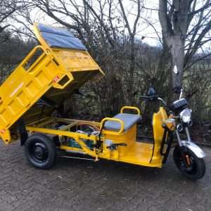 AMR Elektro Cargo Kipper 350 Basic