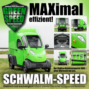 MAX Frontscheibe Scheibe Seitenscheibe Schiebescheibe Heckscheibe Glas Glasscheibe Türscheibe Elektrofrosch MAX