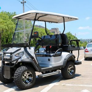 Frontscheibe Scheibe Seitenscheibe Schiebescheibe Heckscheibe Glas Glasscheibe Türscheibe GOLF CAR