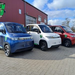 GREEN SPEED 4-Rad AUTO Microcar "BUDDY" 2 Sitzer side by side (nebeneinander) Kabinenroller Kleinwagen Elektro E-Auto 4 Rad Aixam Legier Mega Stormborn Madat 05 Minauto Aixam Miniauto Mopedauto Microcar
