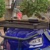 WhatsApp Bild 2023-06-24 um 14.16.49 - Kopie
